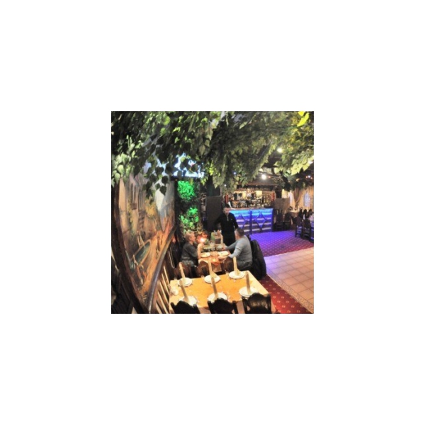 Ресторанный сервис бронирования столиков menu-rest.com - Интерьер ресторана "Оазис"