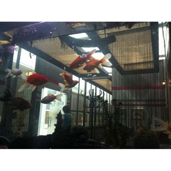 Ресторанный сервис бронирования столиков menu-rest.com - Интерьер ресторана "Мегаполис"