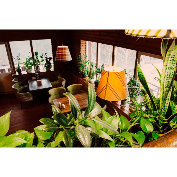 Ресторанный сервис бронирования столиков menu-rest.com - Интерьер ресторана "Shale"