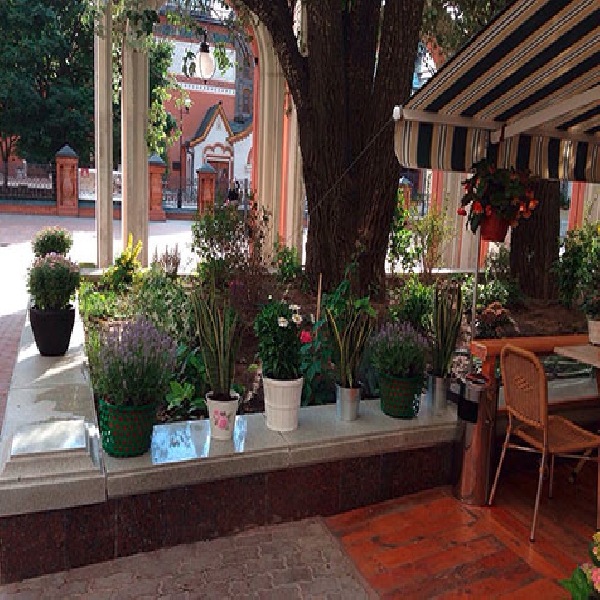 Ресторанный сервис бронирования столиков menu-rest.com - Интерьер ресторана "Сок"