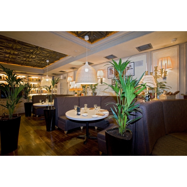 Ресторанный сервис бронирования столиков menu-rest.com - Интерьер ресторана "Ceretto"