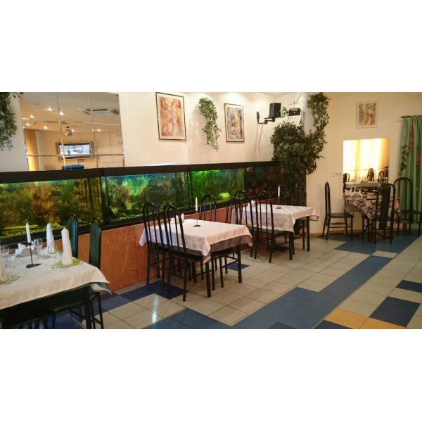 Ресторанный сервис бронирования столиков menu-rest.com - Интерьер ресторана "Зеленый Мыс"