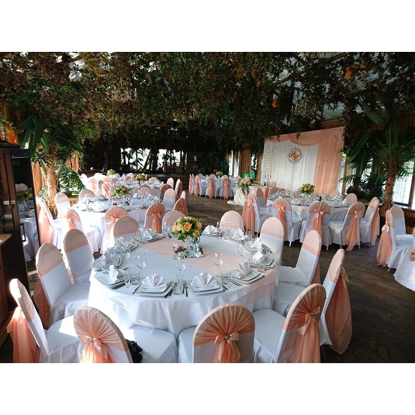 Ресторанный сервис бронирования столиков menu-rest.com - Интерьер ресторана "Malibu"