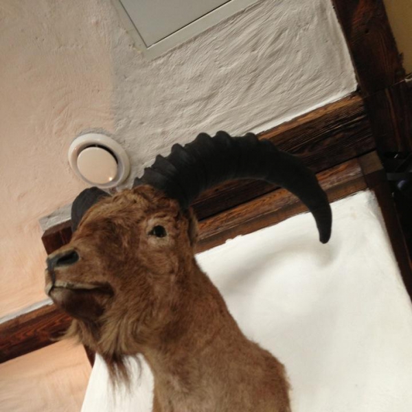 Ресторанный сервис бронирования столиков menu-rest.com - Интерьер ресторана "Мимино"