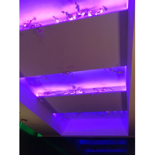 Ресторанный сервис бронирования столиков menu-rest.com - Интерьер ресторана "Гейша"