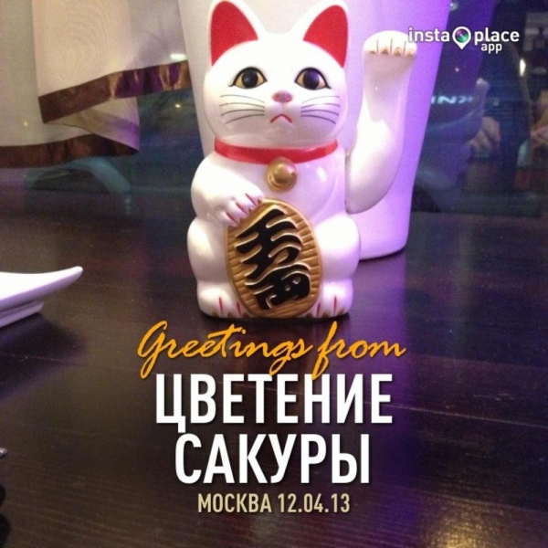 Ресторанный сервис бронирования столиков menu-rest.com - Интерьер ресторана "Цветение Сакуры"