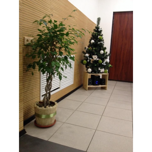 Ресторанный сервис бронирования столиков menu-rest.com - Интерьер ресторана "Японский пёс"