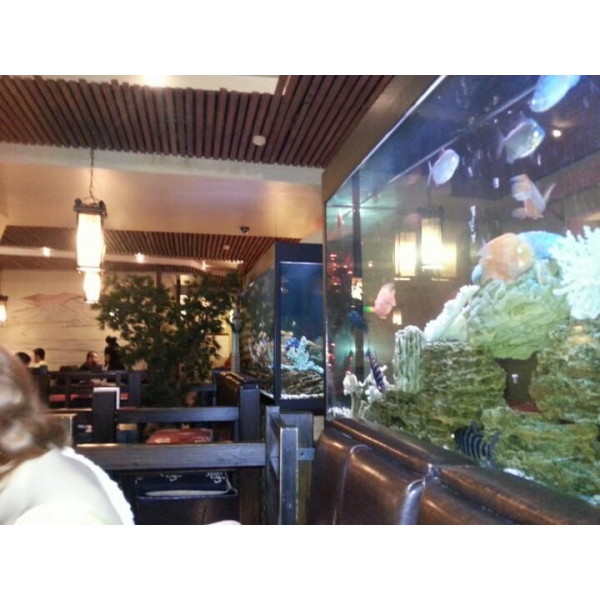 Ресторанный сервис бронирования столиков menu-rest.com - Интерьер ресторана "Якуми"