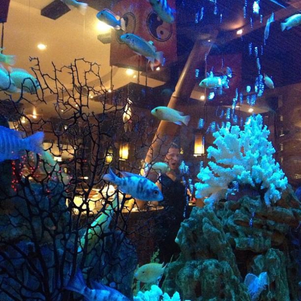 Ресторанный сервис бронирования столиков menu-rest.com - Интерьер ресторана "Якуми"