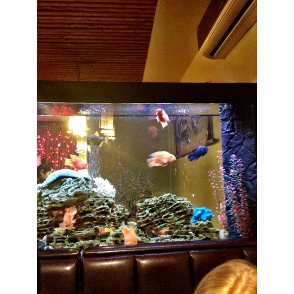 Ресторанный сервис бронирования столиков menu-rest.com - Интерьер ресторана "Якуми"