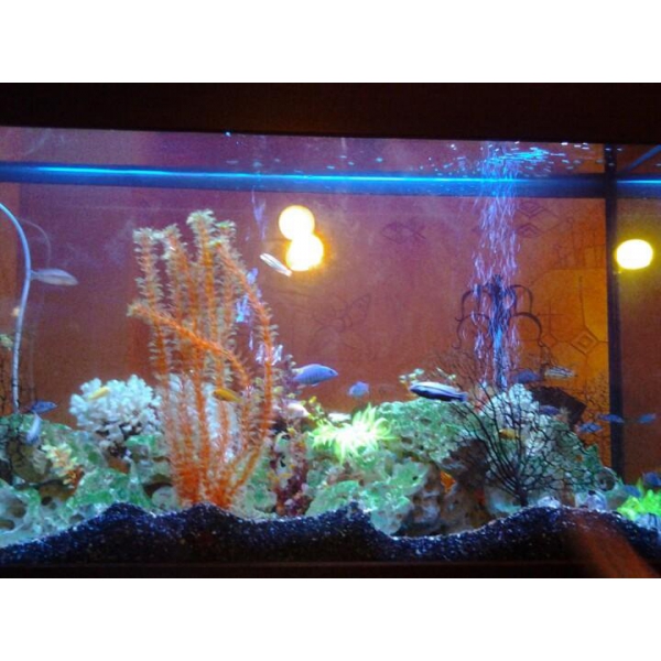 Ресторанный сервис бронирования столиков menu-rest.com - Интерьер ресторана "Нияма"