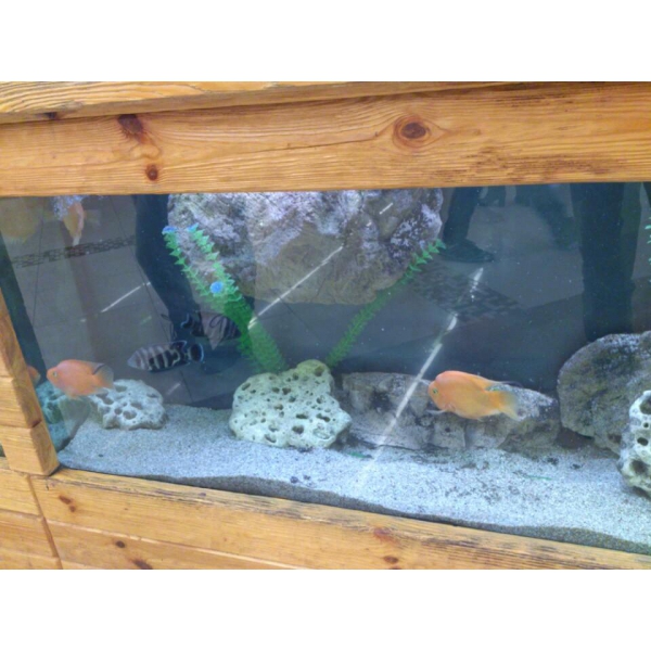 Ресторанный сервис бронирования столиков menu-rest.com - Интерьер ресторана "Sushilka"