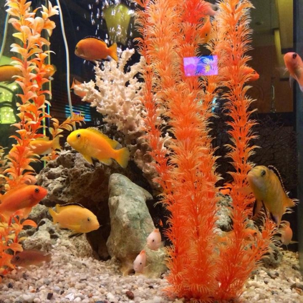 Ресторанный сервис бронирования столиков menu-rest.com - Интерьер ресторана "Нияма"