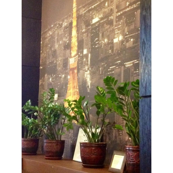 Ресторанный сервис бронирования столиков menu-rest.com - Интерьер ресторана "Планета Суши"