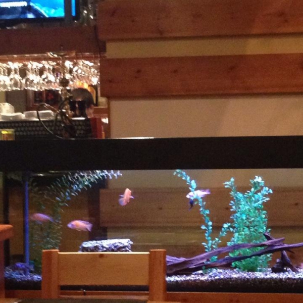 Ресторанный сервис бронирования столиков menu-rest.com - Интерьер ресторана "Якитория"