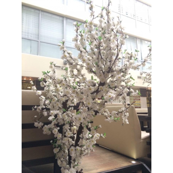 Ресторанный сервис бронирования столиков menu-rest.com - Интерьер ресторана "Планета Суши"