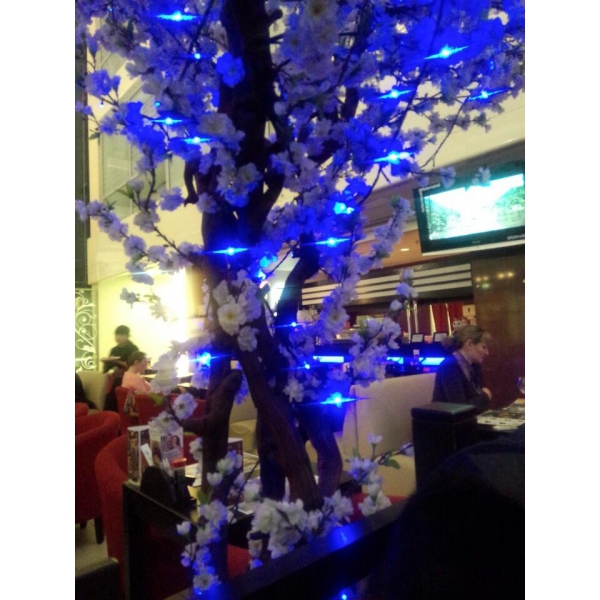 Ресторанный сервис бронирования столиков menu-rest.com - Интерьер ресторана "Планета Суши"