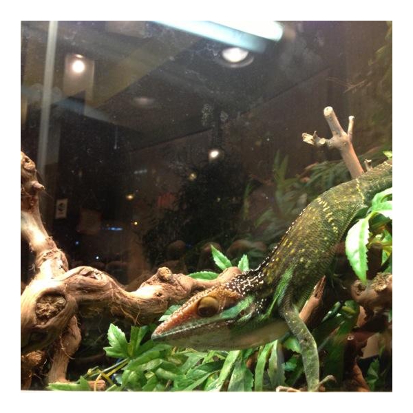 Ресторанный сервис бронирования столиков menu-rest.com - Интерьер ресторана "Якитория"