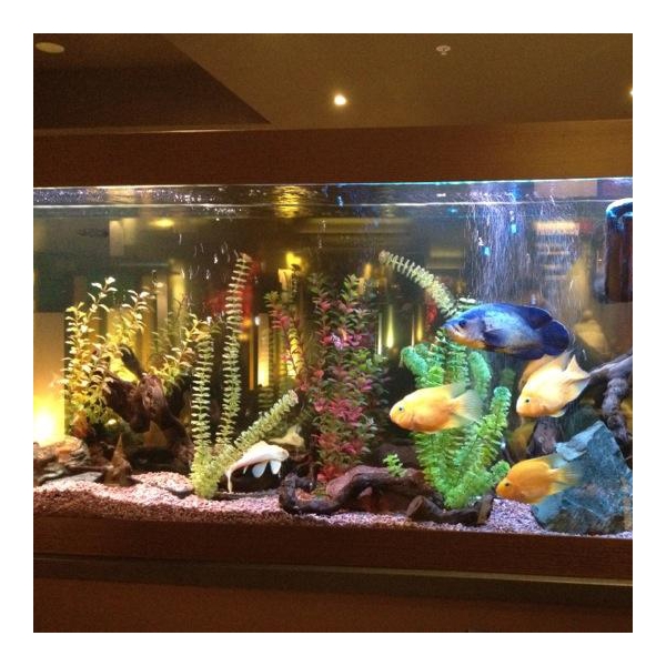 Ресторанный сервис бронирования столиков menu-rest.com - Интерьер ресторана "Якитория"