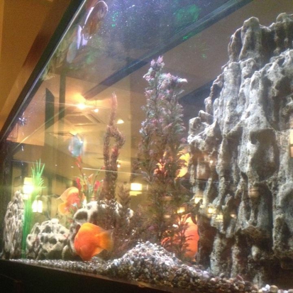 Ресторанный сервис бронирования столиков menu-rest.com - Интерьер ресторана "Якитория"