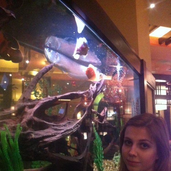 Ресторанный сервис бронирования столиков menu-rest.com - Интерьер ресторана "Якитория"