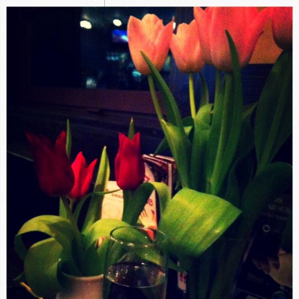 Ресторанный сервис бронирования столиков menu-rest.com - Интерьер ресторана "Якитория"