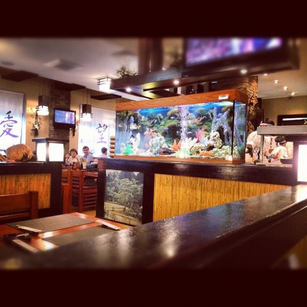 Ресторанный сервис бронирования столиков menu-rest.com - Интерьер ресторана "Якитория"