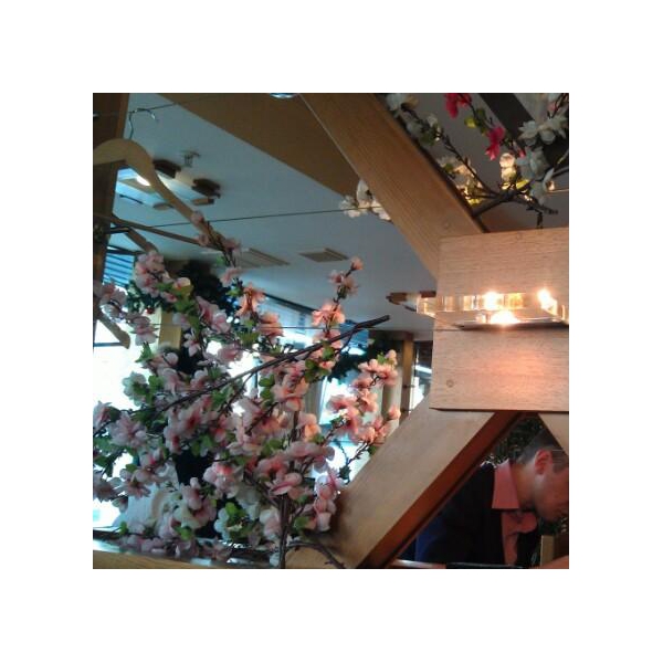 Ресторанный сервис бронирования столиков menu-rest.com - Интерьер ресторана "Якитория"