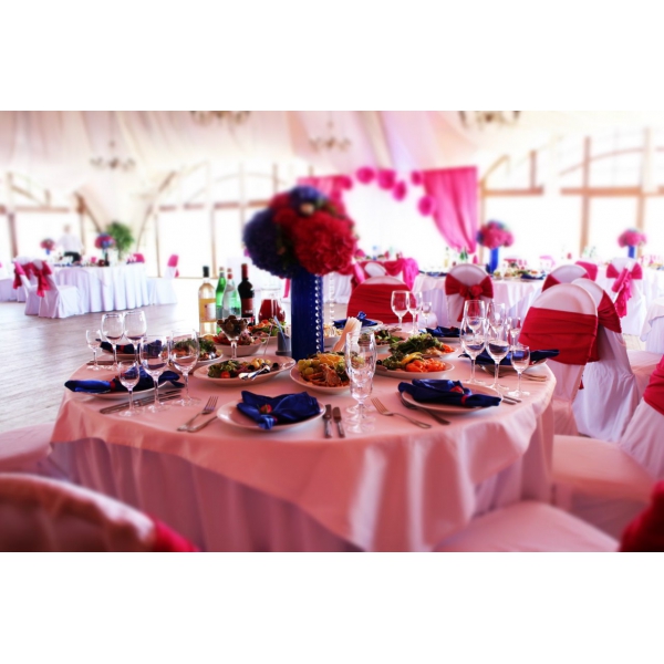 Ресторанный сервис бронирования столиков menu-rest.com - Интерьер ресторана "Ландскрона"