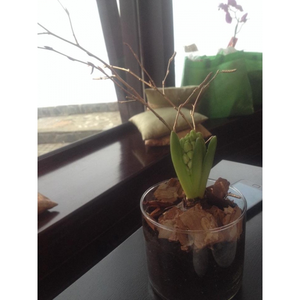 Ресторанный сервис бронирования столиков menu-rest.com - Интерьер ресторана "Панорама"