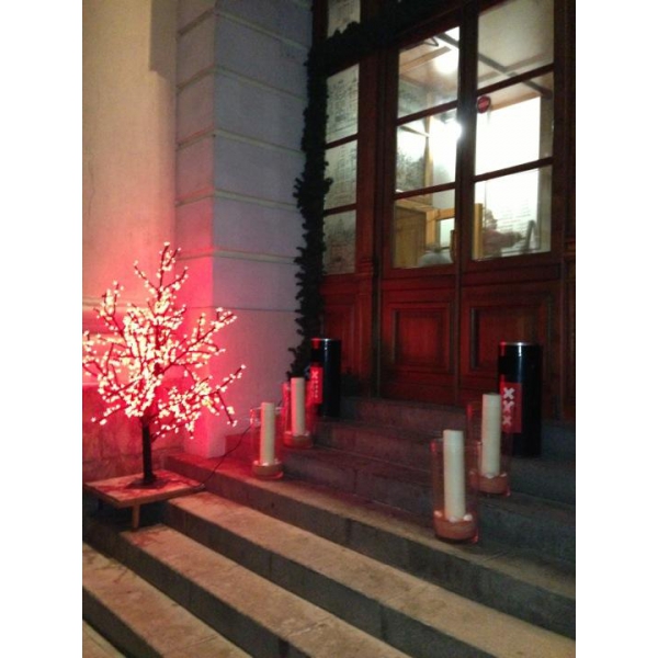 Ресторанный сервис бронирования столиков menu-rest.com - Интерьер ресторана "Amsterdam"