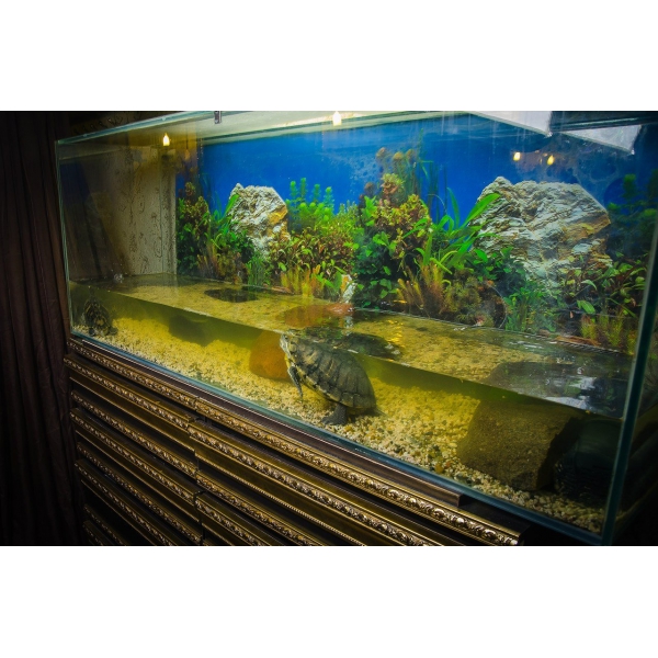 Ресторанный сервис бронирования столиков menu-rest.com - Интерьер ресторана "ILLI"