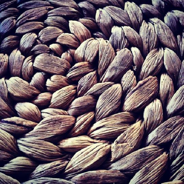 Ресторанный сервис бронирования столиков menu-rest.com - Интерьер ресторана "Ботаника"