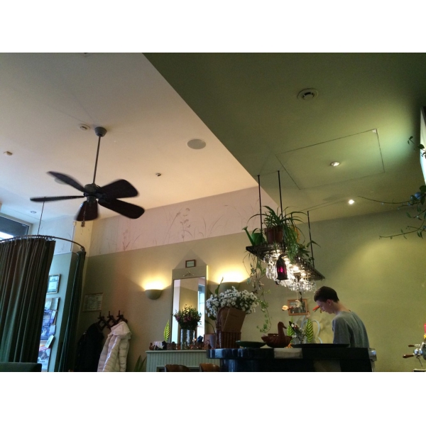 Ресторанный сервис бронирования столиков menu-rest.com - Интерьер ресторана "Ботаника"