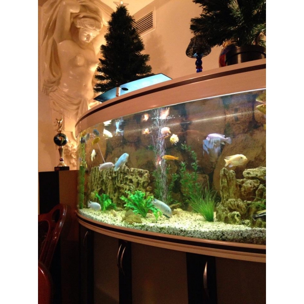 Ресторанный сервис бронирования столиков menu-rest.com - Интерьер ресторана "Киш-Миш"