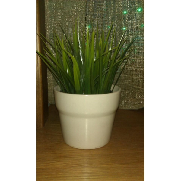 Ресторанный сервис бронирования столиков menu-rest.com - Интерьер ресторана "Ti Amo"