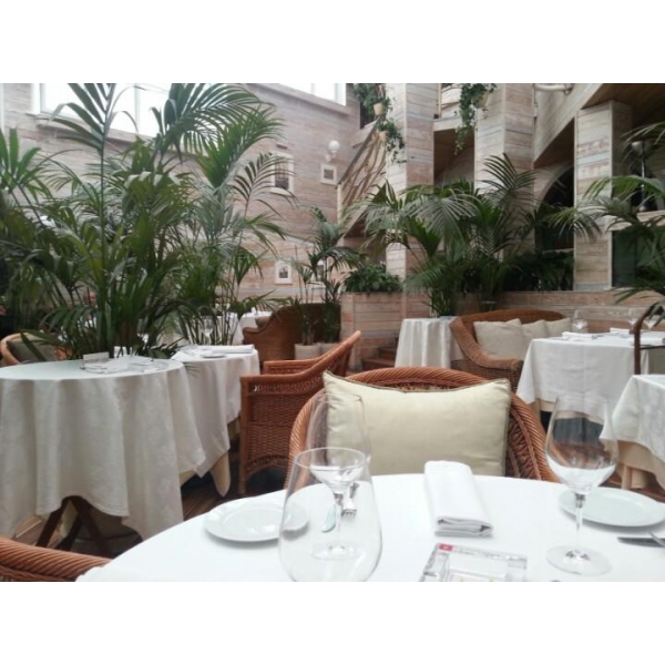 Ресторанный сервис бронирования столиков menu-rest.com - Интерьер ресторана "МОМО"