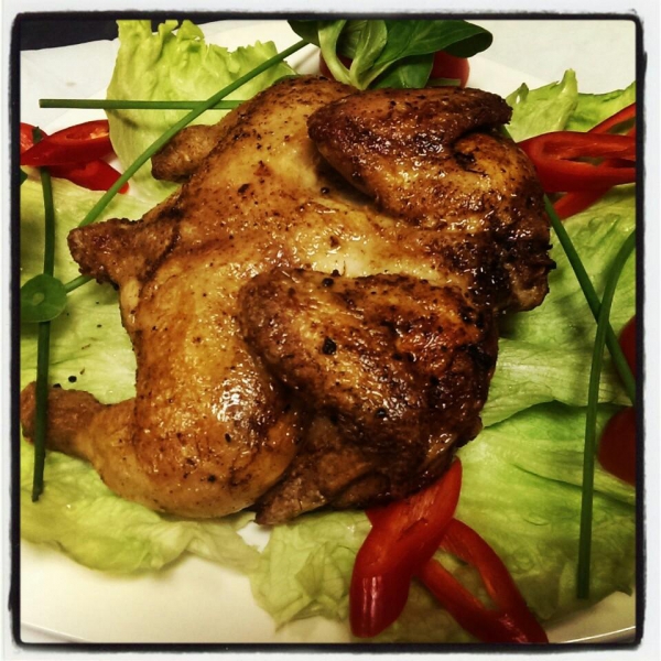 Ресторанный сервис бронирования столиков menu-rest.com - Интерьер ресторана "Ротонда"