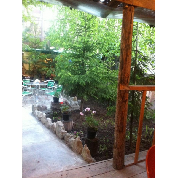 Ресторанный сервис бронирования столиков menu-rest.com - Интерьер ресторана "У Медведя"