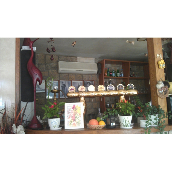 Ресторанный сервис бронирования столиков menu-rest.com - Интерьер ресторана "Васин сад"