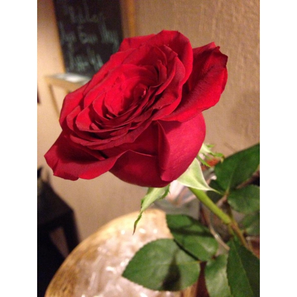 Ресторанный сервис бронирования столиков menu-rest.com - Интерьер ресторана "Pastila"