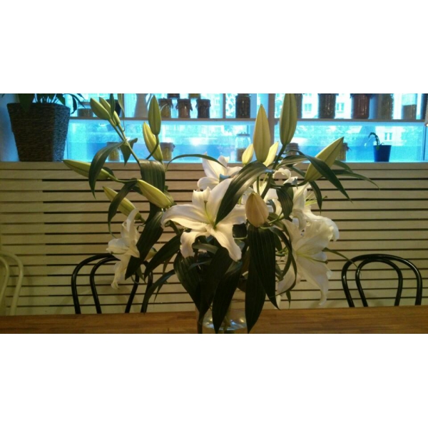 Ресторанный сервис бронирования столиков menu-rest.com - Интерьер ресторана "Marketplace"