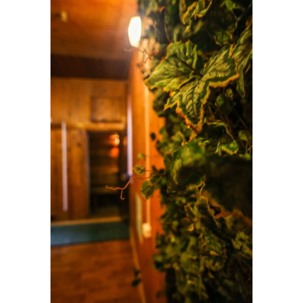 Ресторанный сервис бронирования столиков menu-rest.com - Интерьер ресторана "Аннушка"