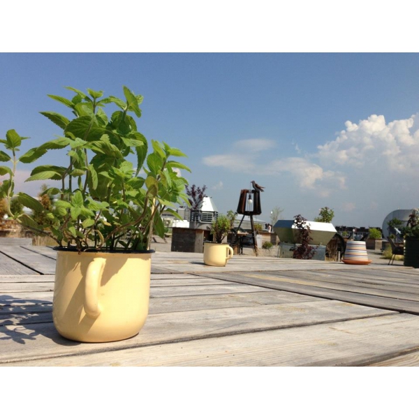 Ресторанный сервис бронирования столиков menu-rest.com - Интерьер ресторана "Макаронники"