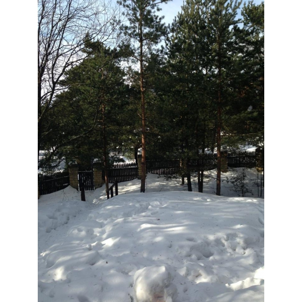 Ресторанный сервис бронирования столиков menu-rest.com - Интерьер ресторана "Старая мельница"