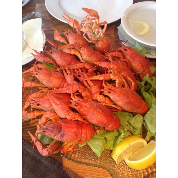 Ресторанный сервис бронирования столиков menu-rest.com - Интерьер ресторана "Русская рыбалка"