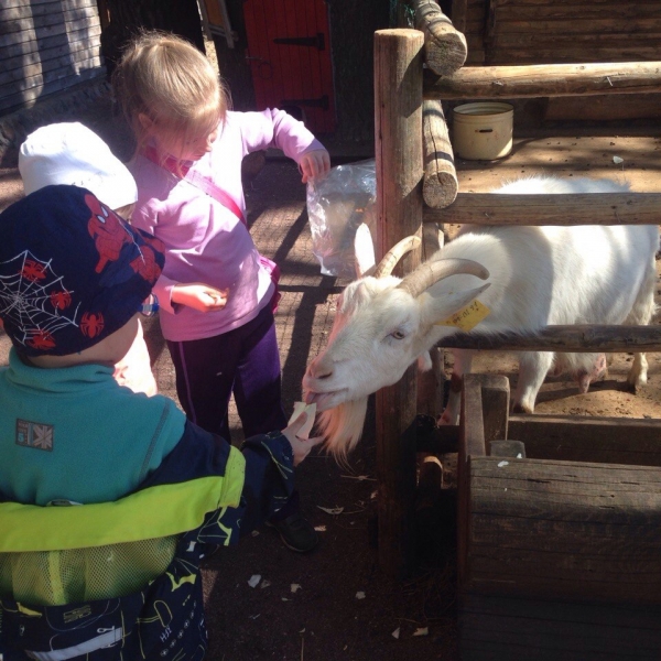 Ресторанный сервис бронирования столиков menu-rest.com - Интерьер ресторана "Русская рыбалка"