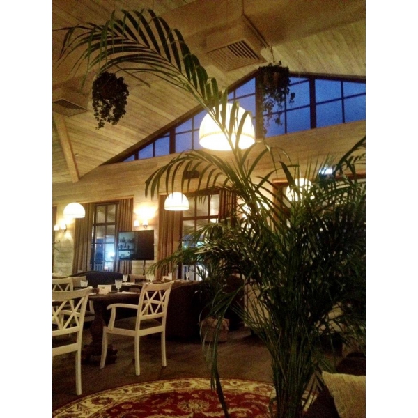 Ресторанный сервис бронирования столиков menu-rest.com - Интерьер ресторана "Villa Zималеtо"