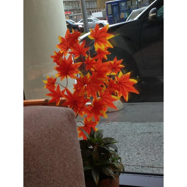 Ресторанный сервис бронирования столиков menu-rest.com - Интерьер ресторана "Bona Capona"