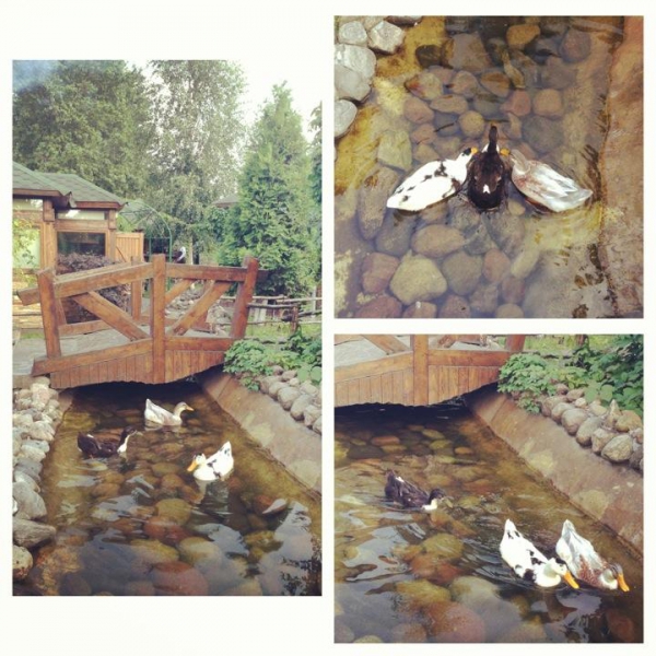 Ресторанный сервис бронирования столиков menu-rest.com - Интерьер ресторана "Невская Жемчужина"